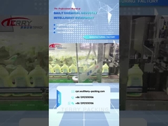 2L очистные средства shengdailisha